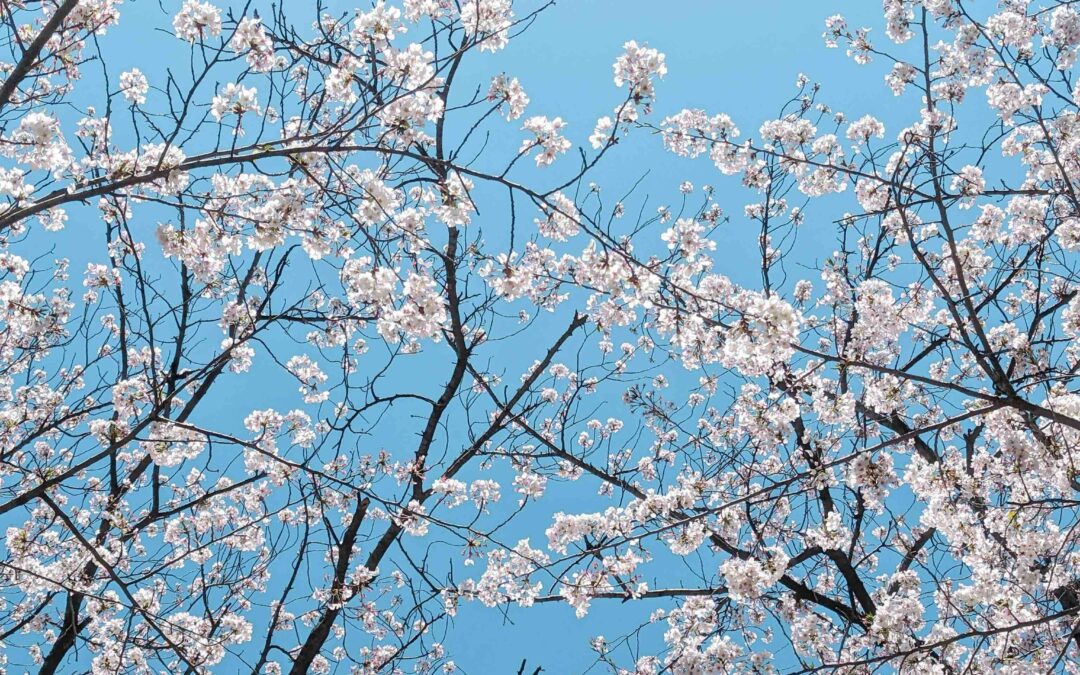 Comment être heureux ? La réponse du psychanalyste